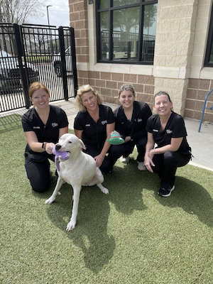 animal shelter staff and dog